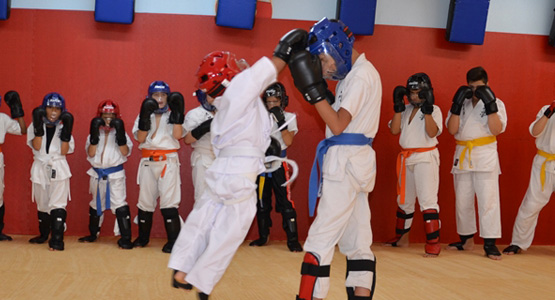 mma kampfschule